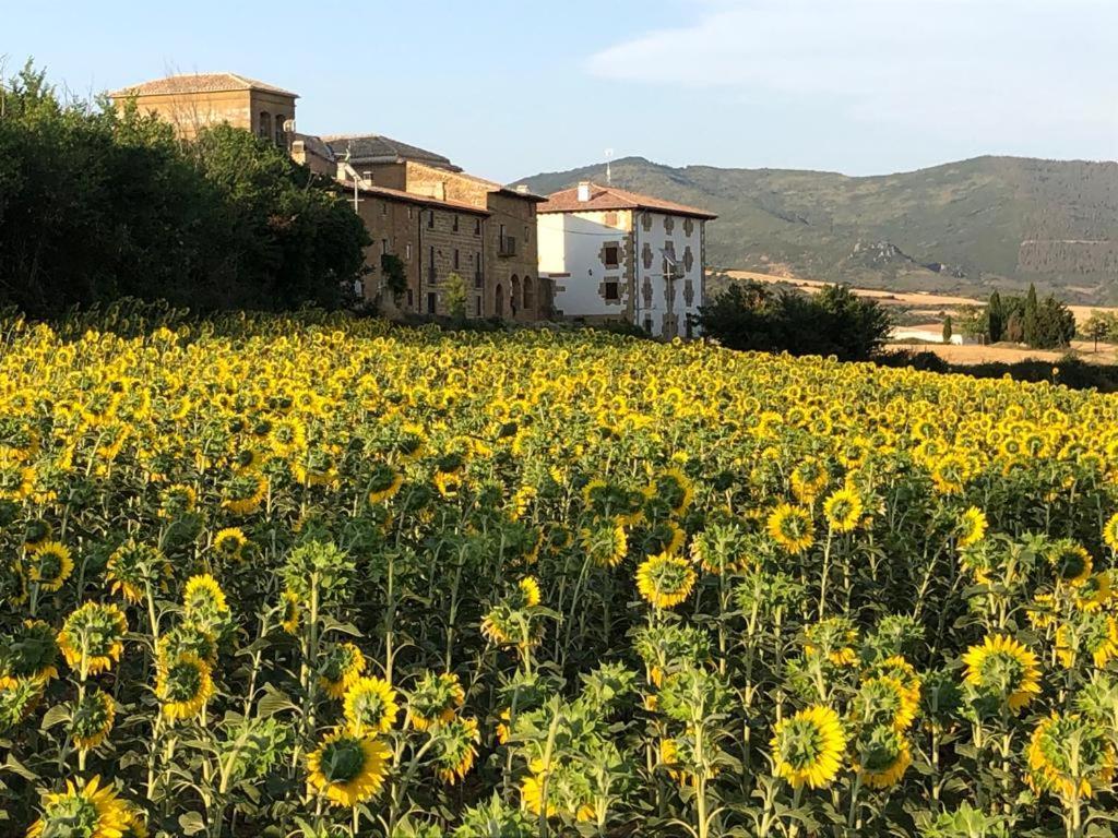 Casa Rural La Sacristana Lacar 외부 사진